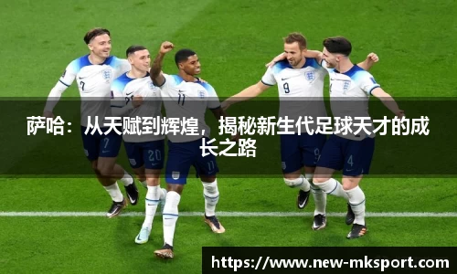 mk体育